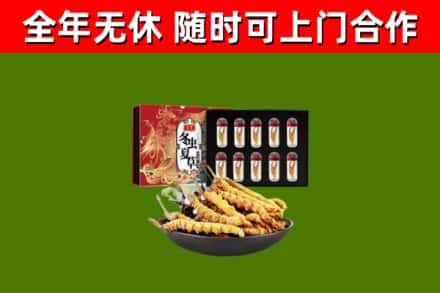 浈江回收冬虫夏草价格