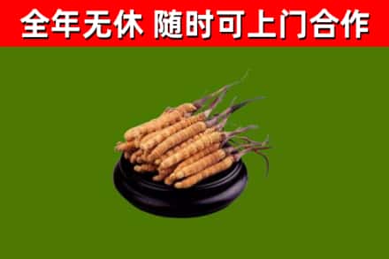 浈江烟酒回收冬虫夏草.jpg